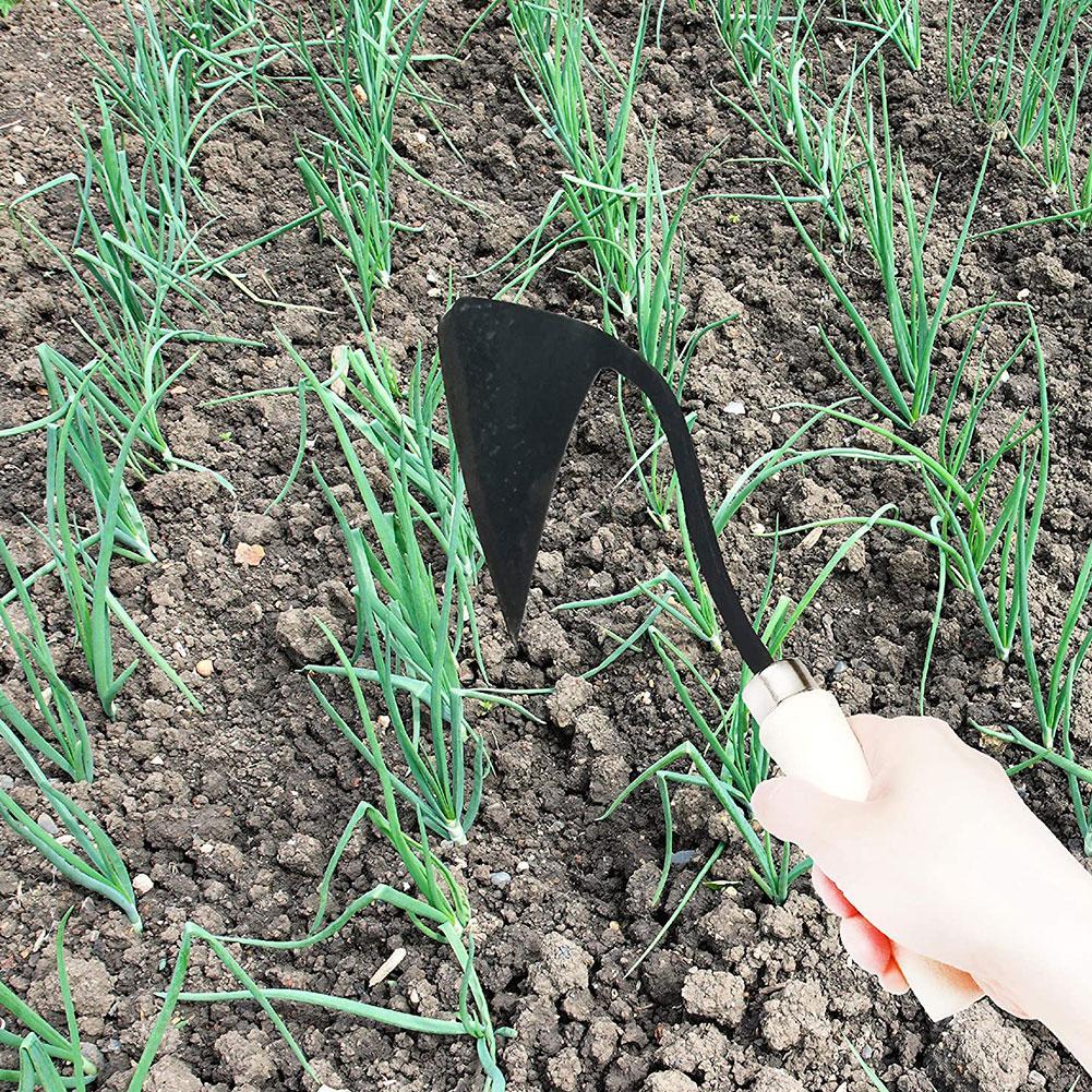 Enxadas Agrícolas: Enxada Tria - Agriculture Farming Vegetables avaliação e preço