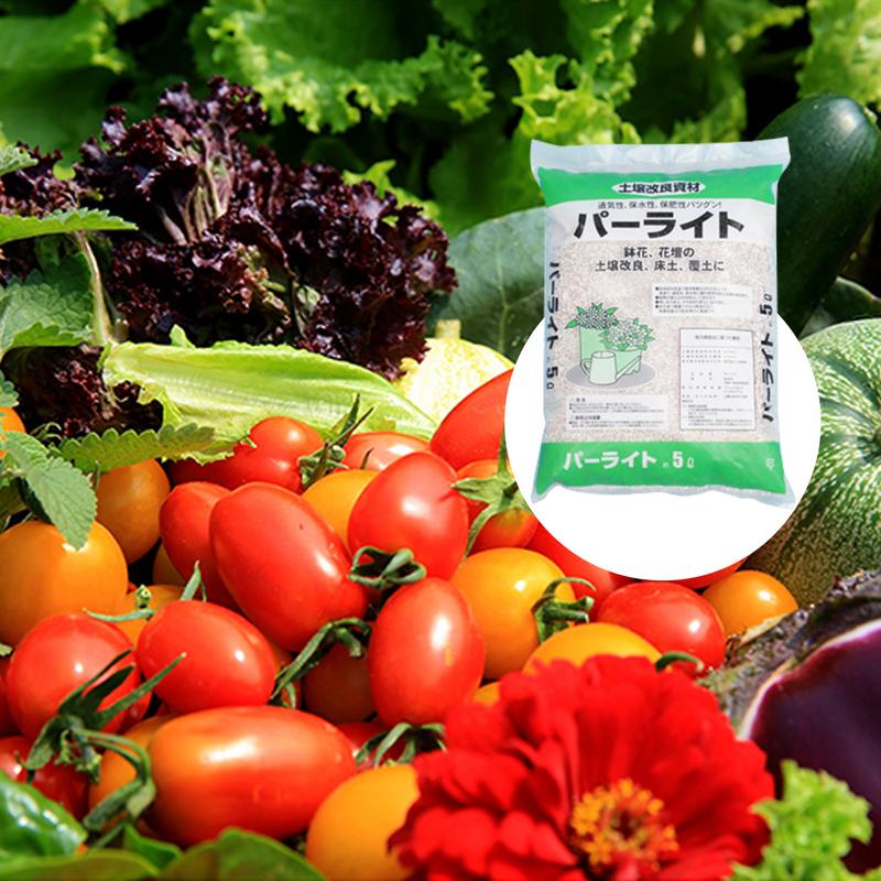 Perlite em massa para jardinag - Horticulture Soil Perlite avaliação e preço